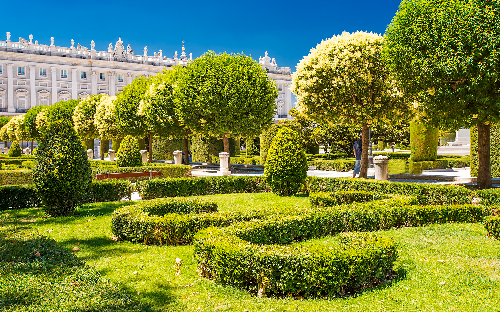 Real Jardín Botánico de Madrid	