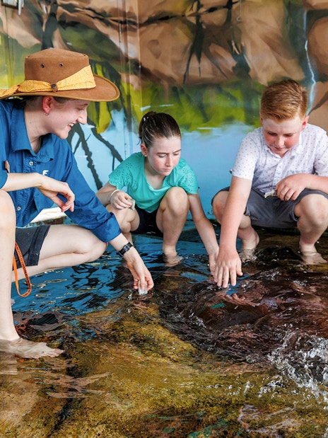 Kids interacting with whiprays at Whipray Encounter, Crocosaurus Cove.