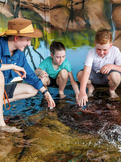 Kids interacting with whiprays at Whipray Encounter, Crocosaurus Cove.