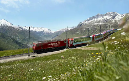 Glacier Express train traveling through Swiss Alps near Andermatt, surrounded by mountains and wildflowers.