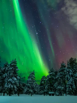 Northern Lights over snowy forest in Kiruna during expedition tour.
