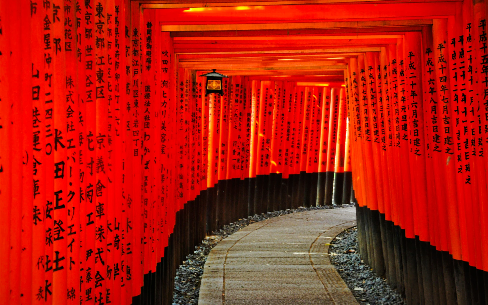 From Nagoya: Kyoto and Nara One-Way Guided Day Tour with Osaka Drop-Off Image 2