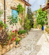 Laneia Village