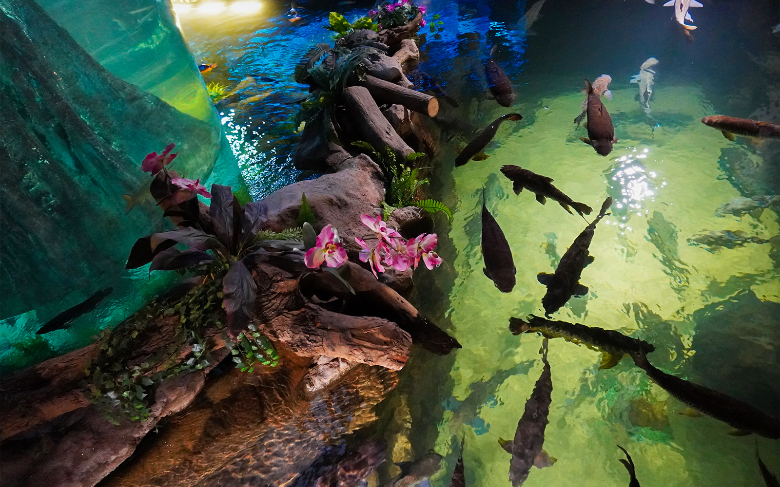 Langkawi Underwater World