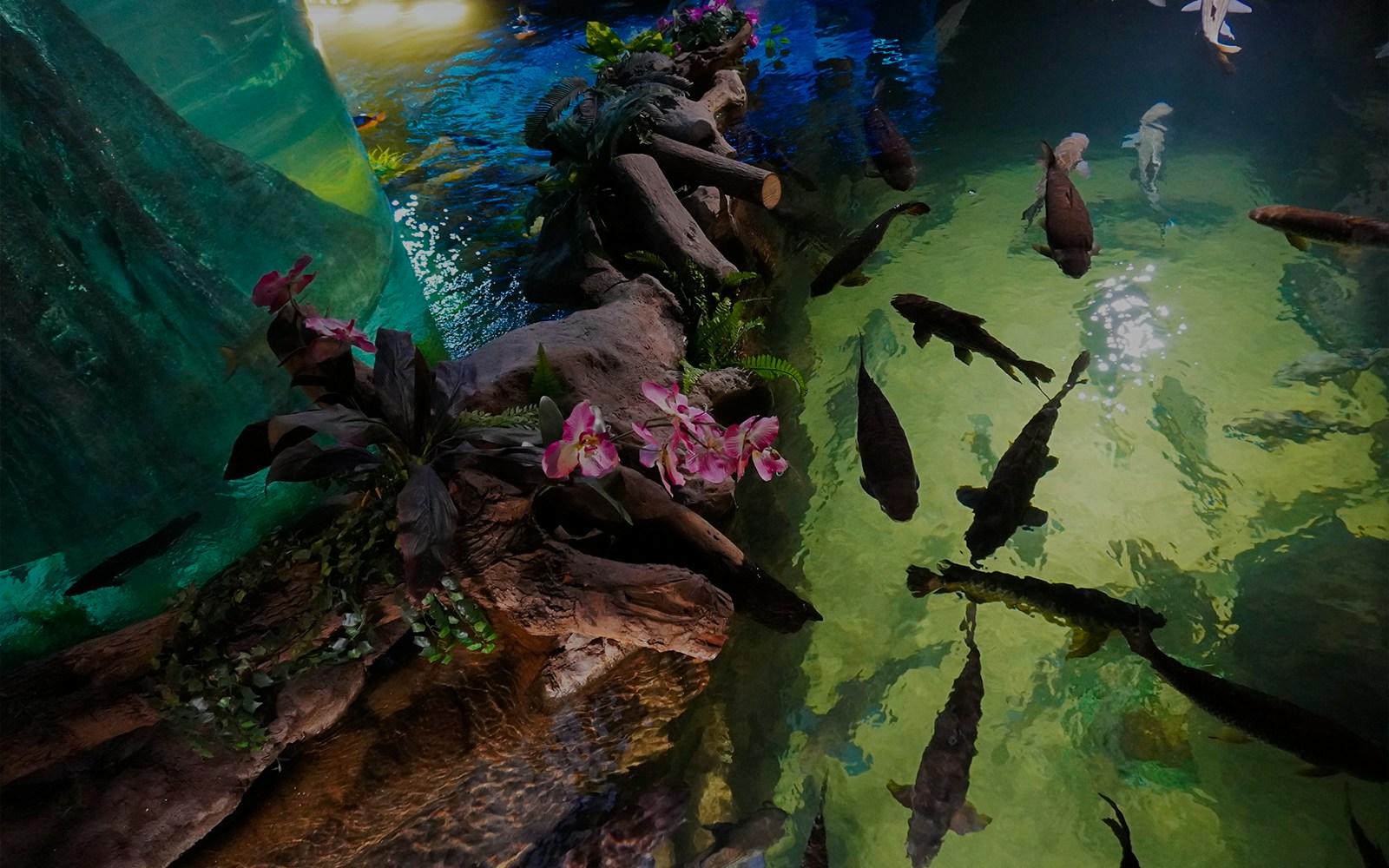 Langkawi Underwater World