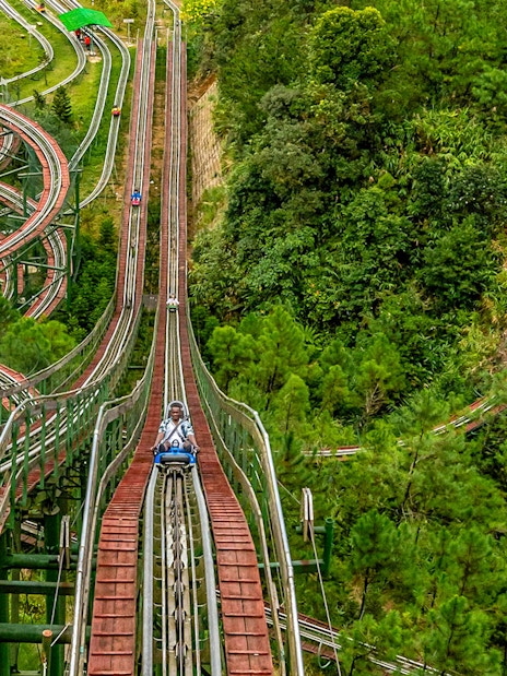 Alpine Coaster winding through lush forest at Ba Na Hills, Da Nang, Vietnam.