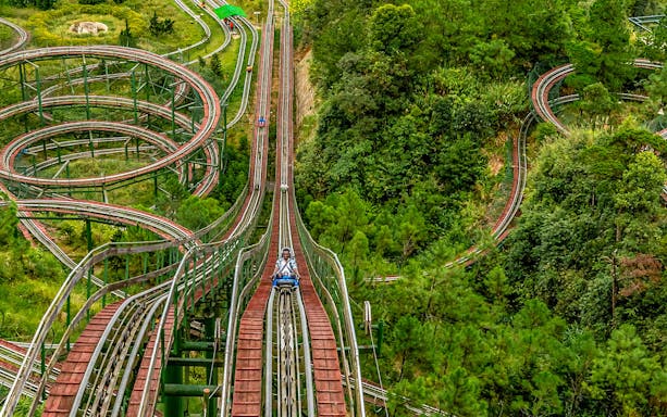 Alpine Coaster winding through lush forest at Ba Na Hills, Da Nang, Vietnam.