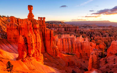 Bryce Canyon hoodoos at sunset during Bryce & Zion Luxury Boutique Scenic Tour.