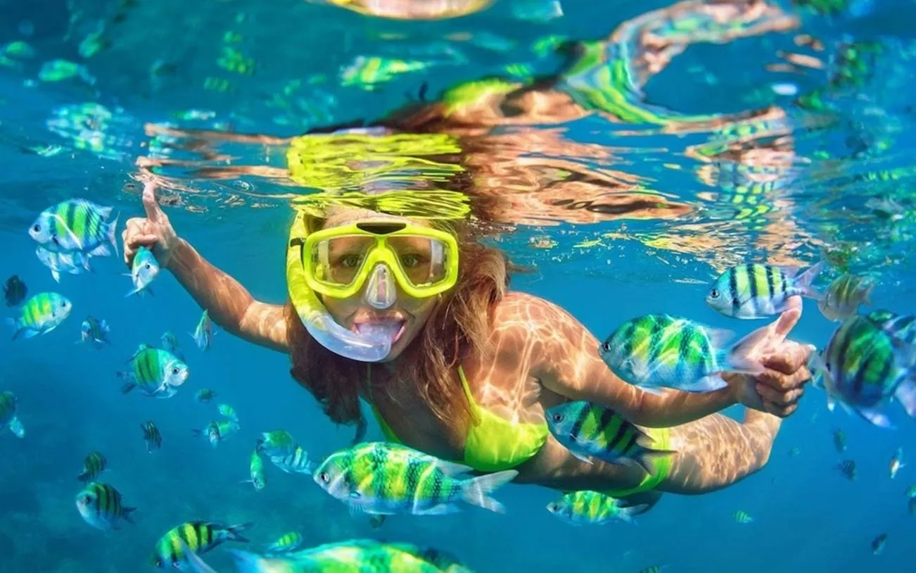 Snorkeler among colorful fish in clear waters during Phi Phi Island tour from Phuket.