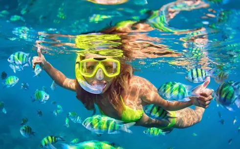 Snorkeler among colorful fish in clear waters during Phi Phi Island tour from Phuket.