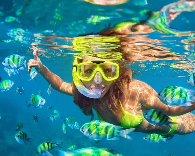 From Phuket: Phi Phi & Bamboo Island Speedboat Tour with Royal Phuket Marina Departure, Snorkeling & Beachfront Lunch (Product 53793)