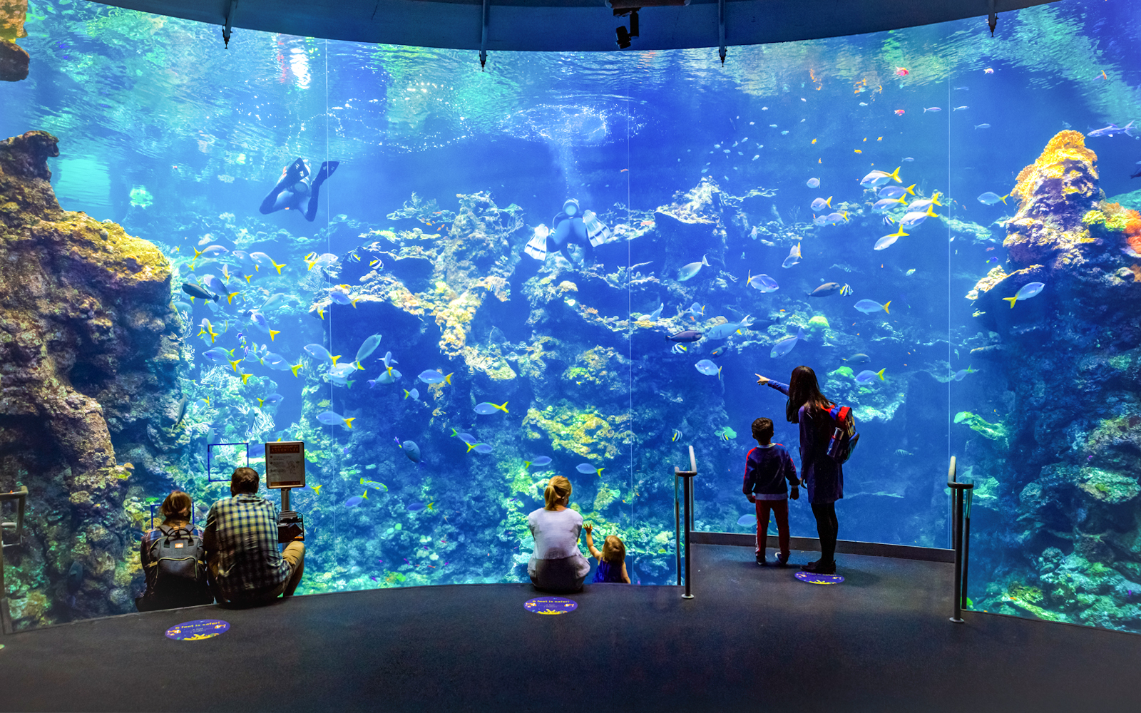 Visitors observing colorful coral reefs at California Academy of Sciences aquarium.