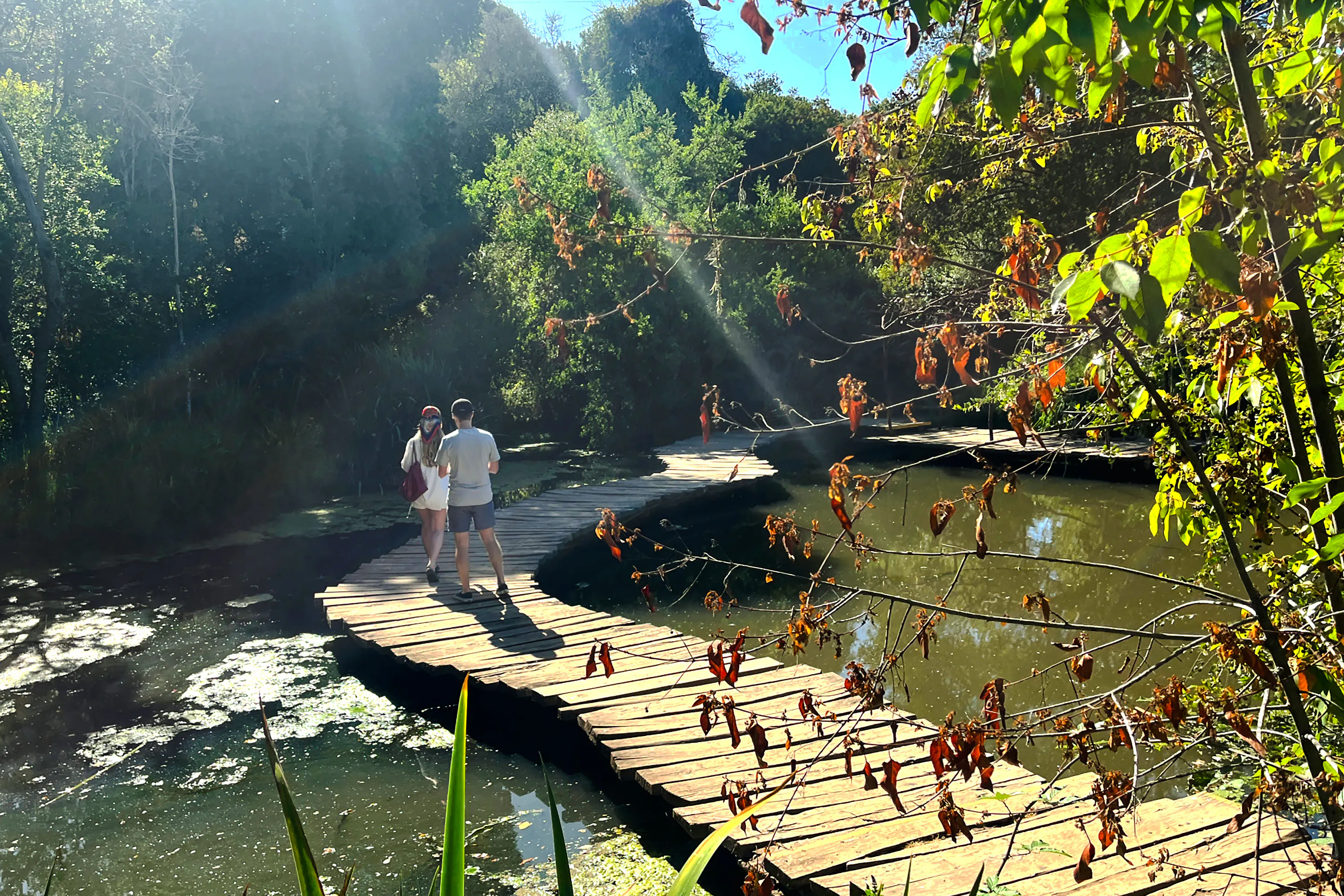 Visitors walking on a wooden path over a pond in Tricao Park, Santiago.