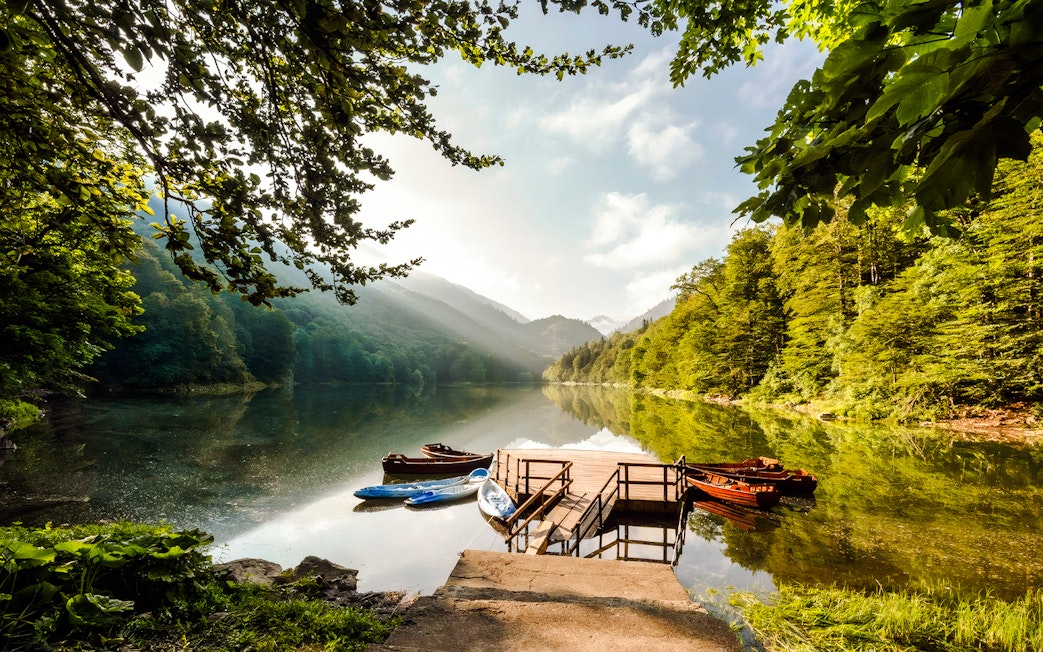 Dock with boats on Biogradsko Lake in Biogradska Gora National Park, surrounded by lush forest.