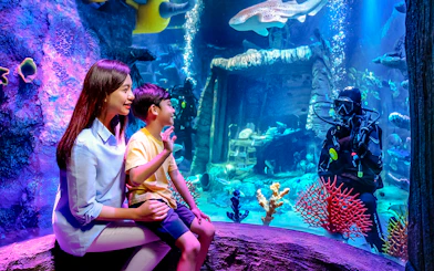 Family watching diver in shipwreck scene at Sea Life Aquarium, Legoland Malaysia.