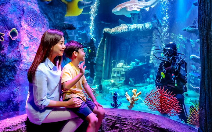 Family watching diver in shipwreck scene at Sea Life Aquarium, Legoland Malaysia.