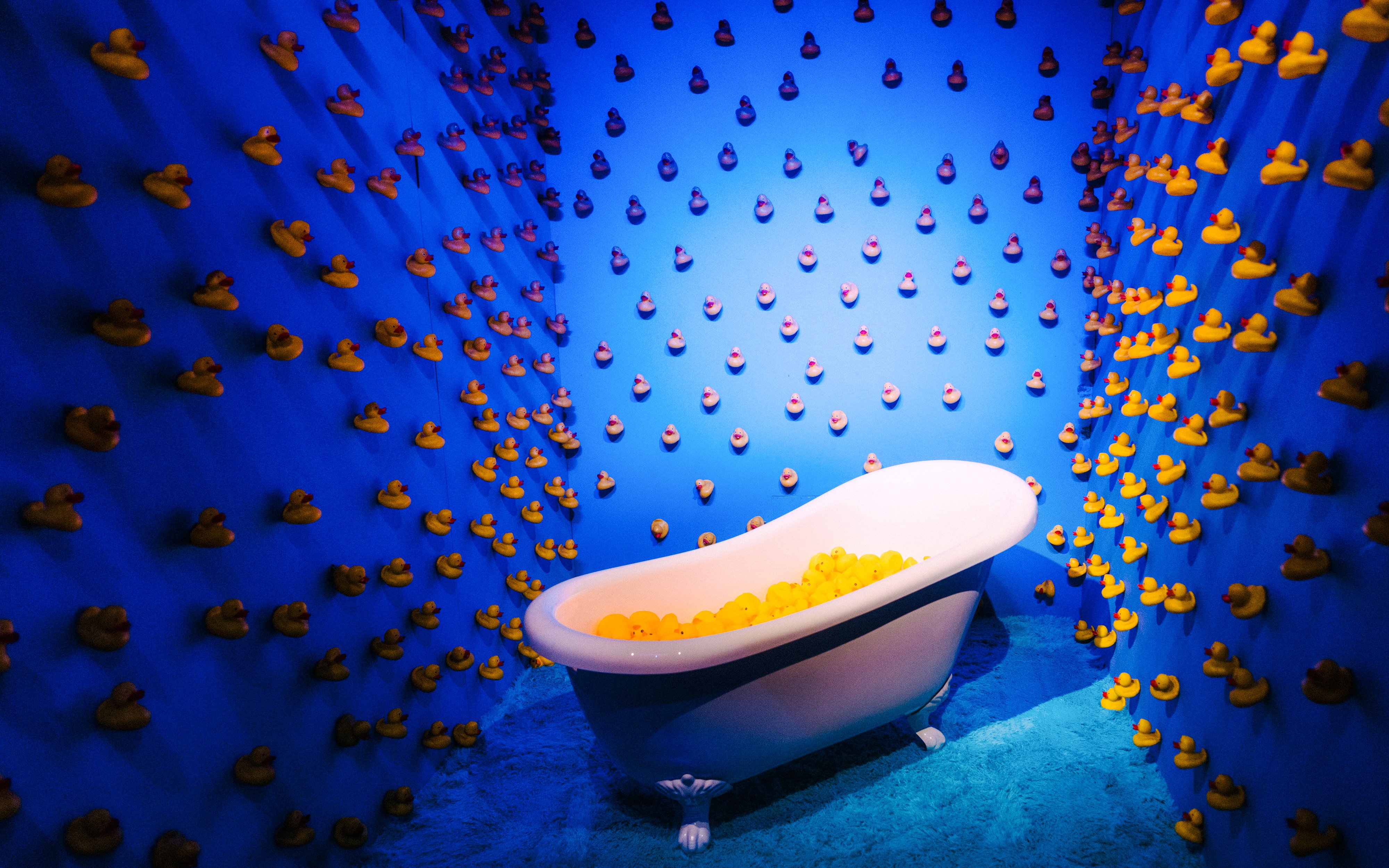 Bathtub filled with rubber ducks in a blue room at Bubble Planet, Cologne.