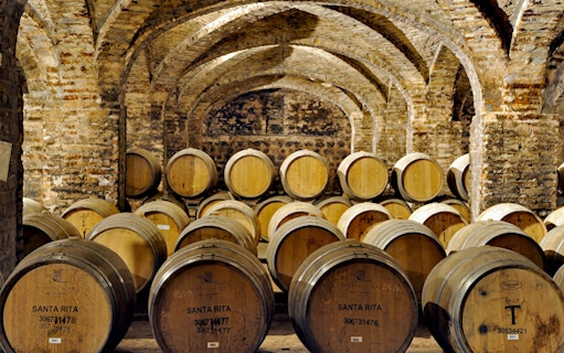 Barrels in the cellars of Viña Santa Rita, Maipo Valley, Chile.