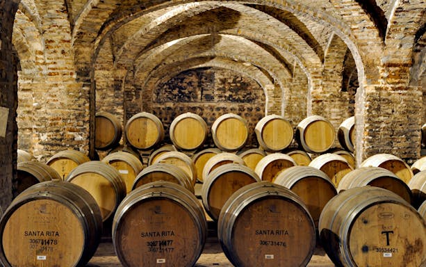 Barrels in the cellars of Viña Santa Rita, Maipo Valley, Chile.