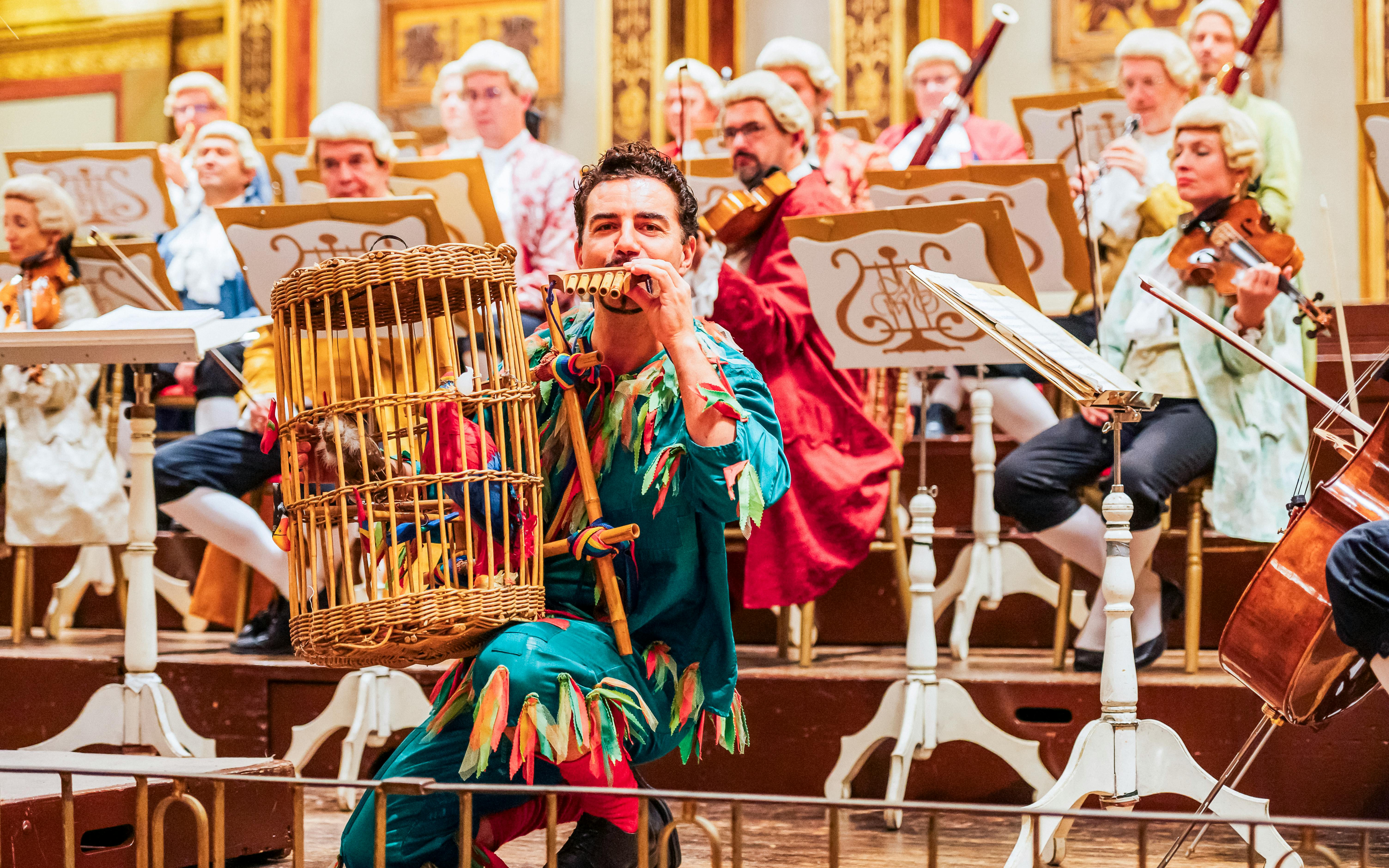 Musicians in period costumes performing at a Mozart Orchestra Concert.