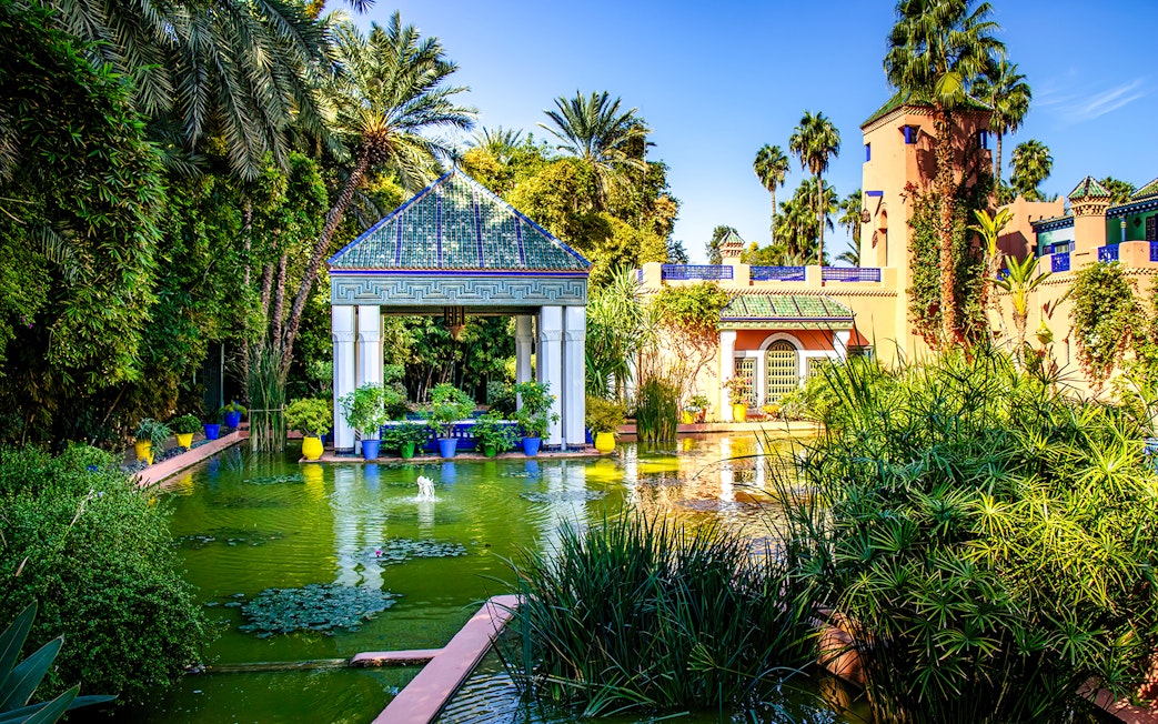 Jardin Majorelle garden with lush greenery and vibrant blue and yellow pots in Marrakech.