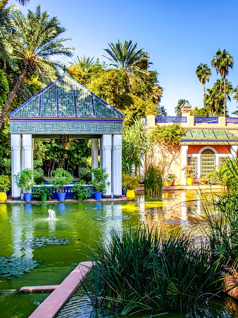Jardin Majorelle garden with lush greenery and vibrant blue and yellow pots in Marrakech.