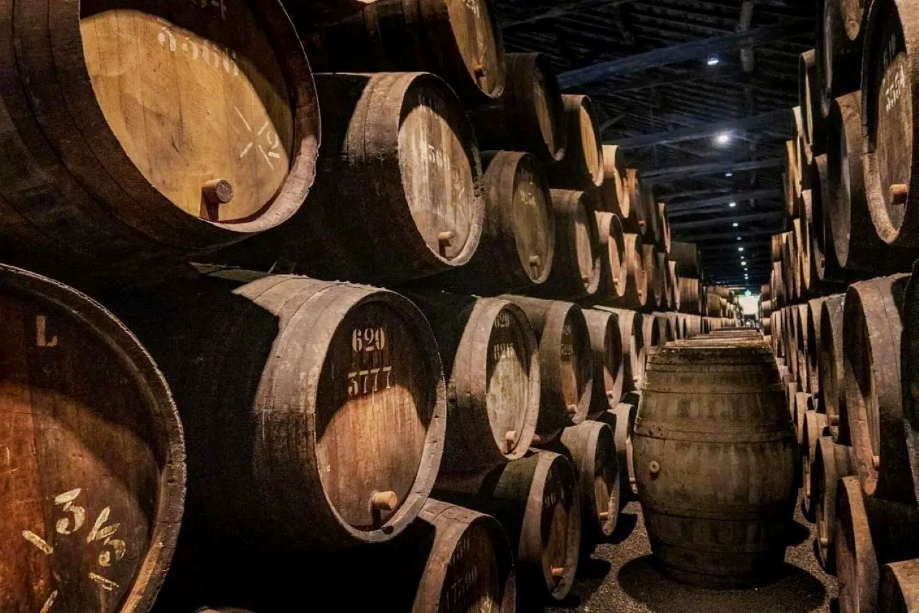 Wine barrels in Caves do Vinho do Porto, Porto.