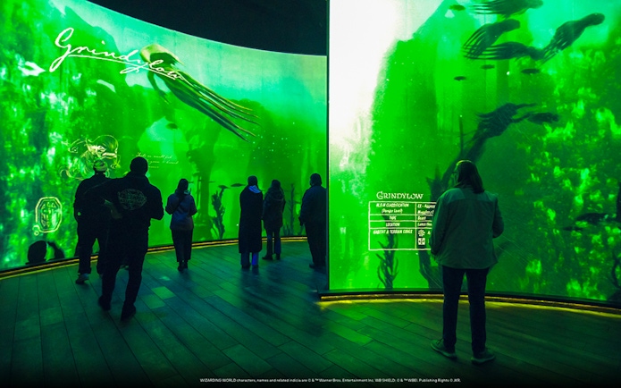 Visitors viewing Grindylow exhibit at Harry Potter: Visions of Magic event.