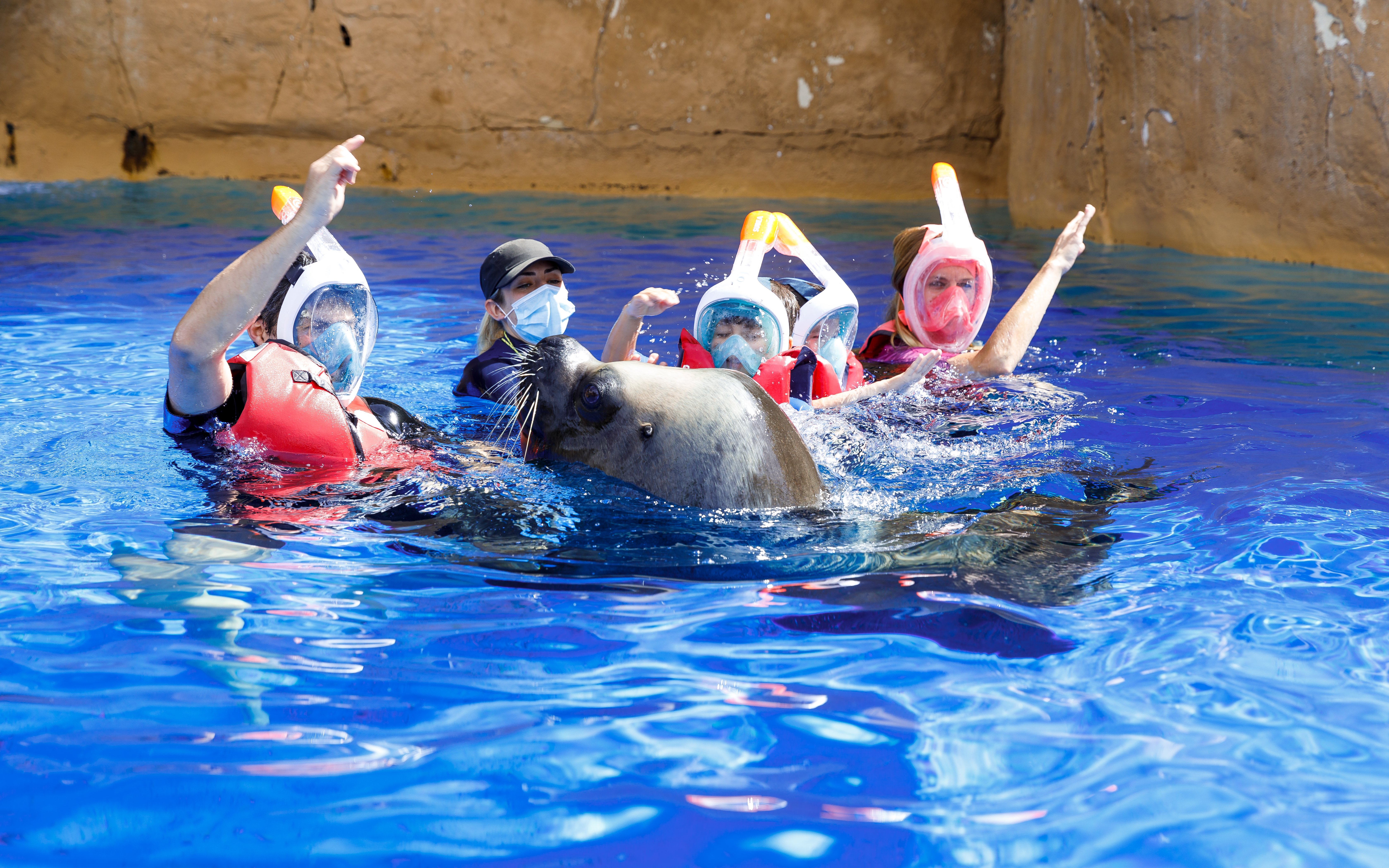Kids swimming with a sea lion at Selwo Marina.