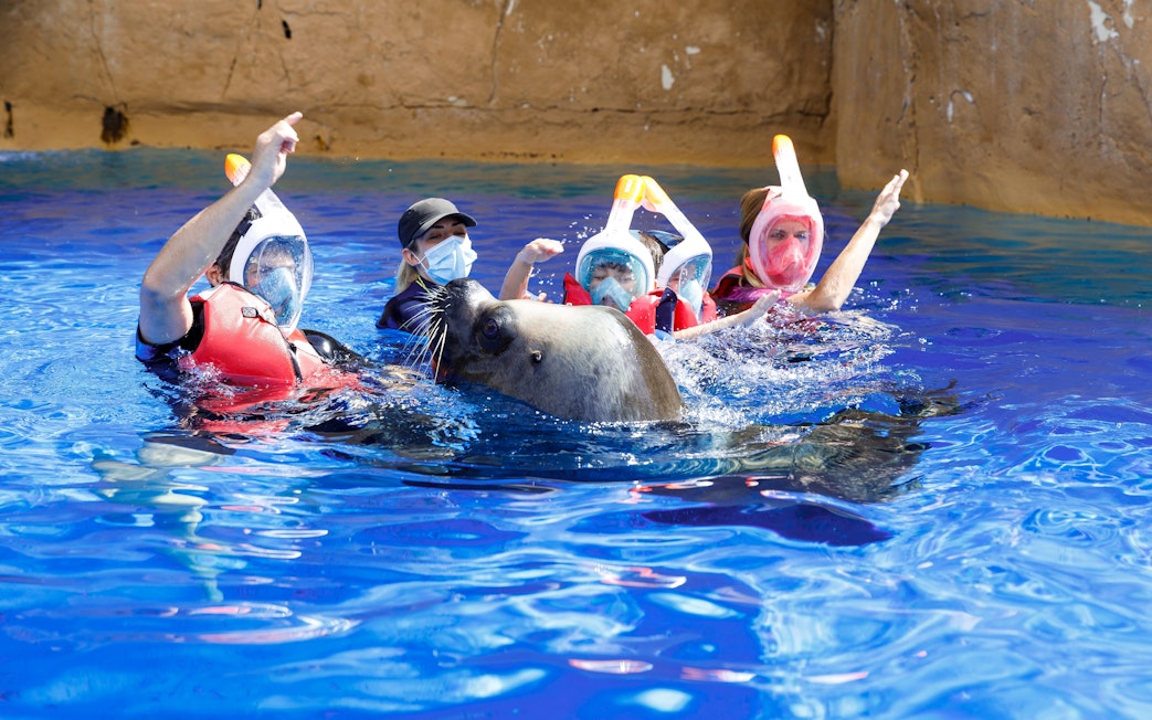 Kids swimming with a sea lion at Selwo Marina.