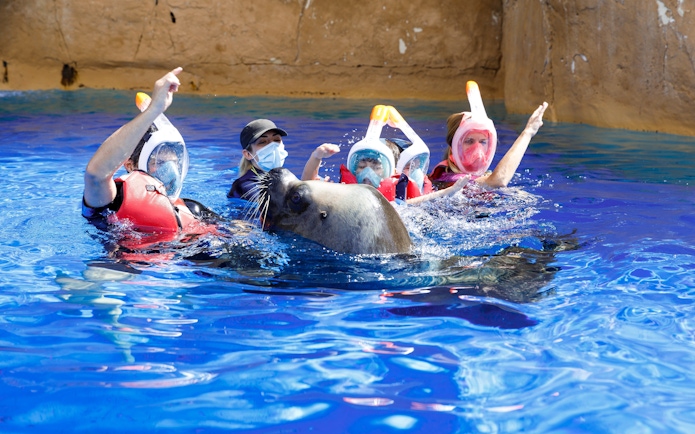 Kids swimming with a sea lion at Selwo Marina.