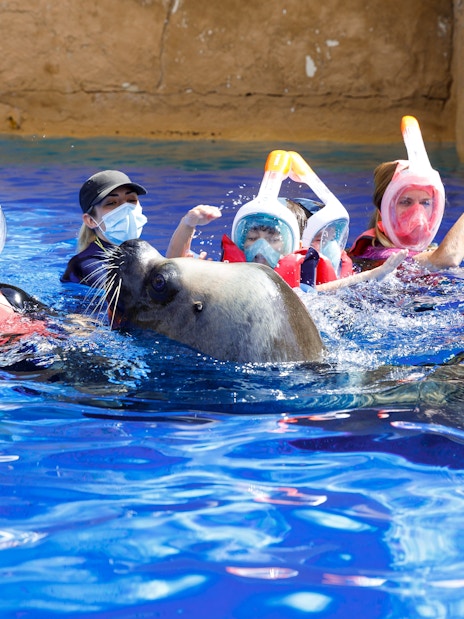 Kids swimming with a sea lion at Selwo Marina.
