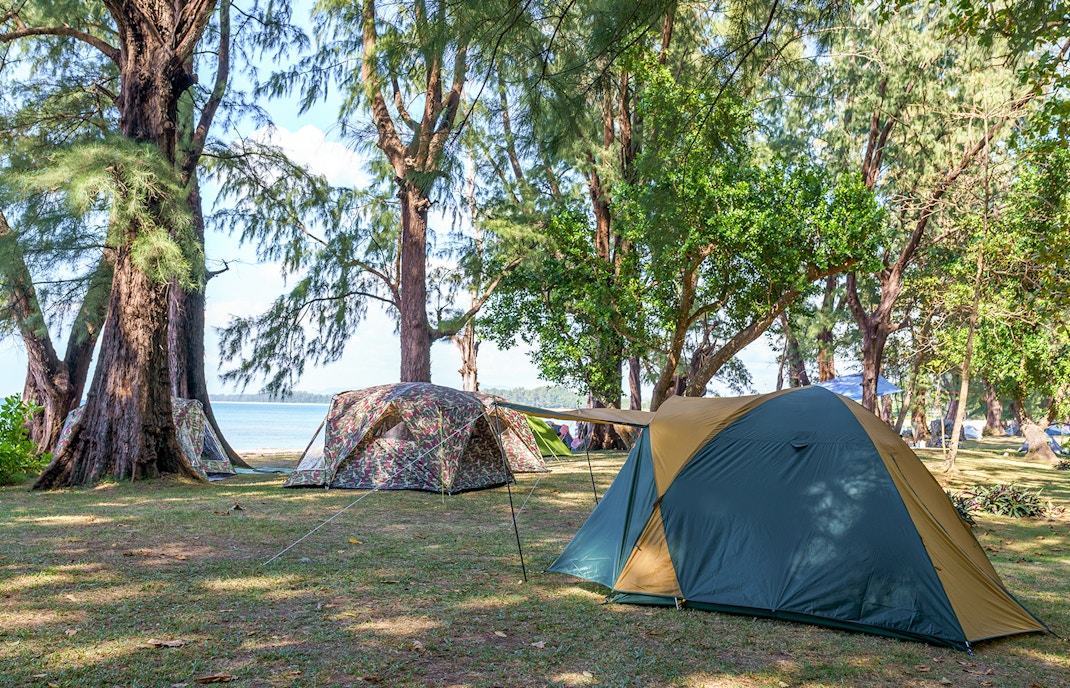 Camping in the forest
