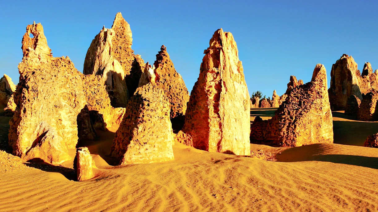 Pinnacles Desert limestone formations under clear blue sky.