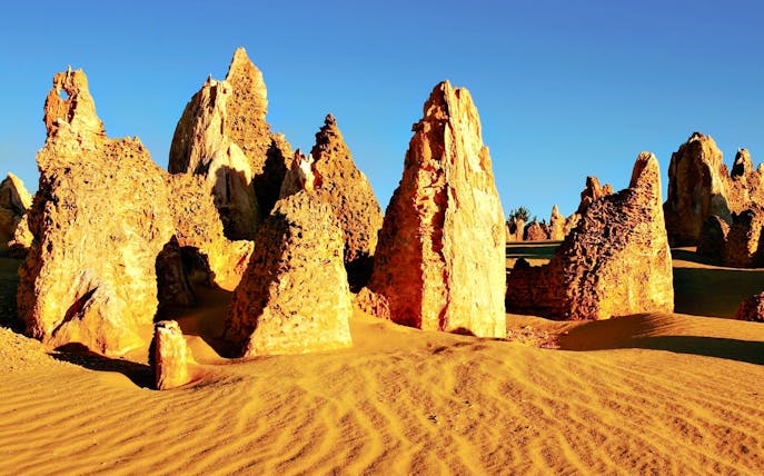 Pinnacles Desert limestone formations under clear blue sky.