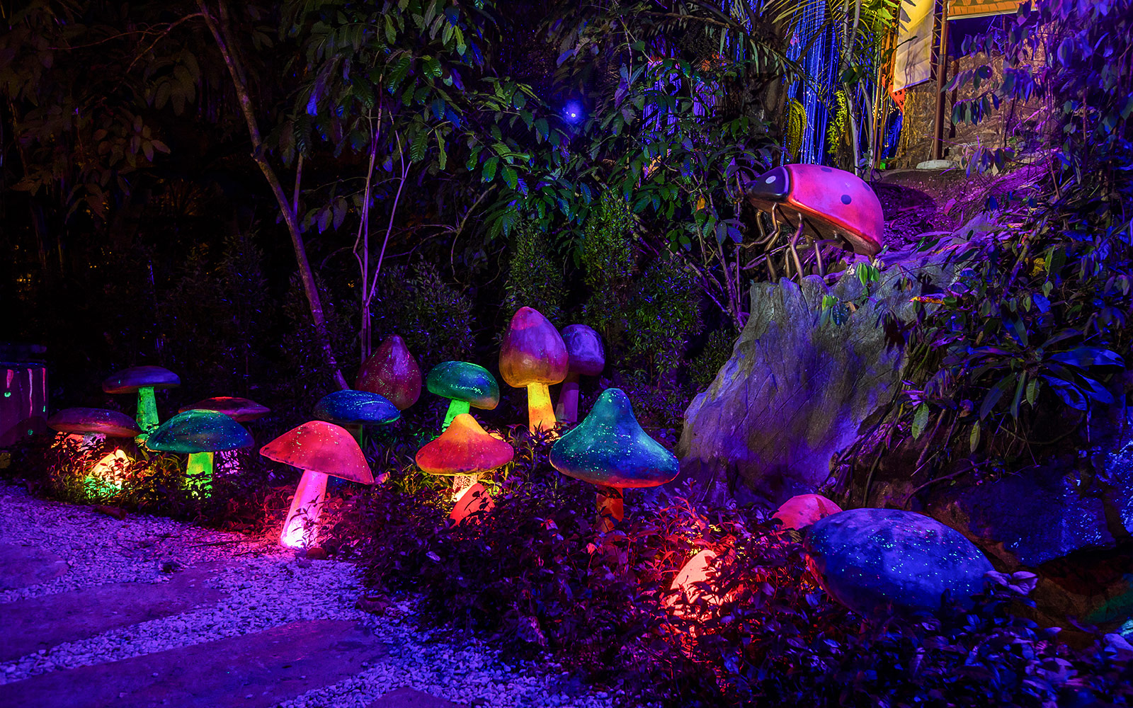 Colorful illuminated mushrooms at Sunway Lost World Hot Springs Night Park.