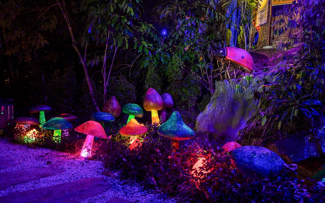 Colorful illuminated mushrooms at Sunway Lost World Hot Springs Night Park.