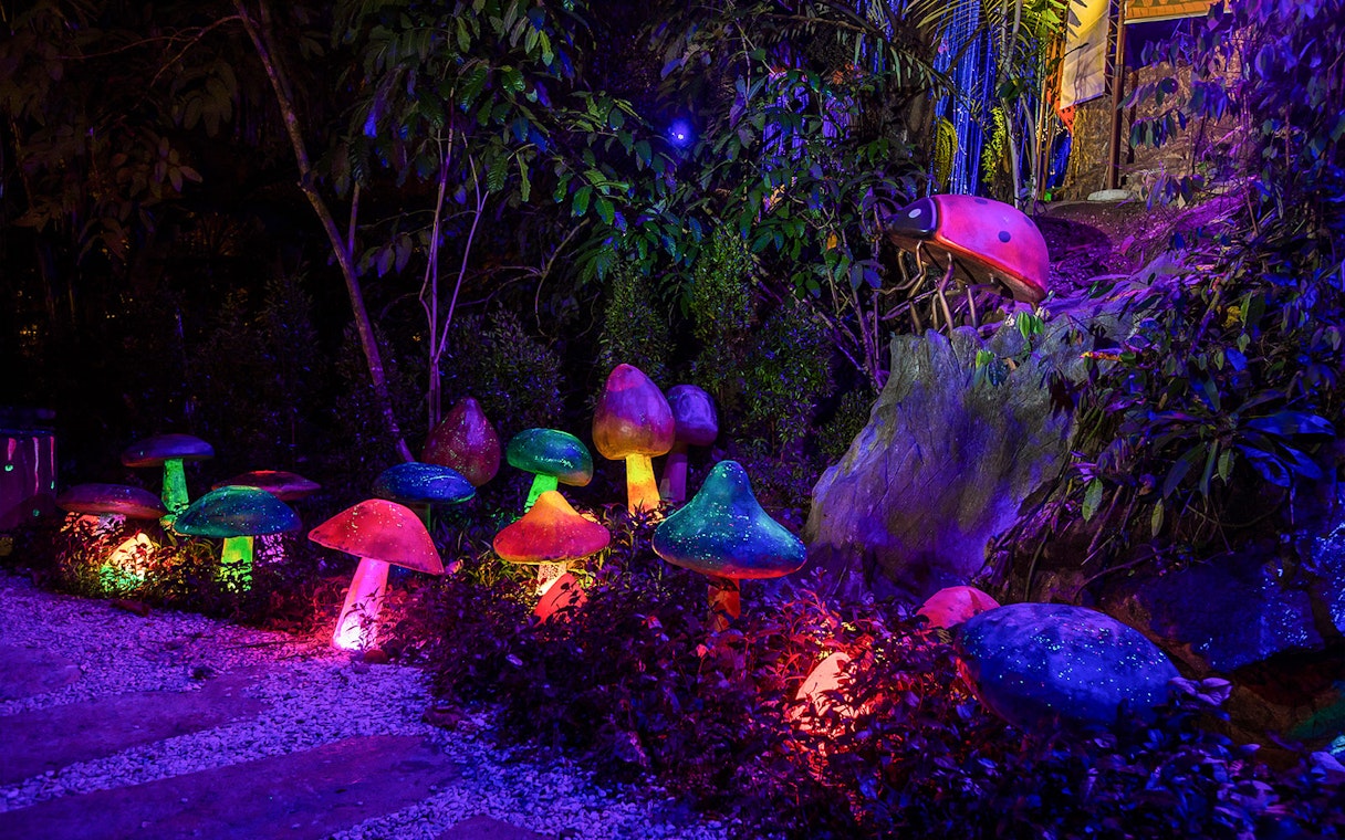 Colorful illuminated mushrooms at Sunway Lost World Hot Springs Night Park.