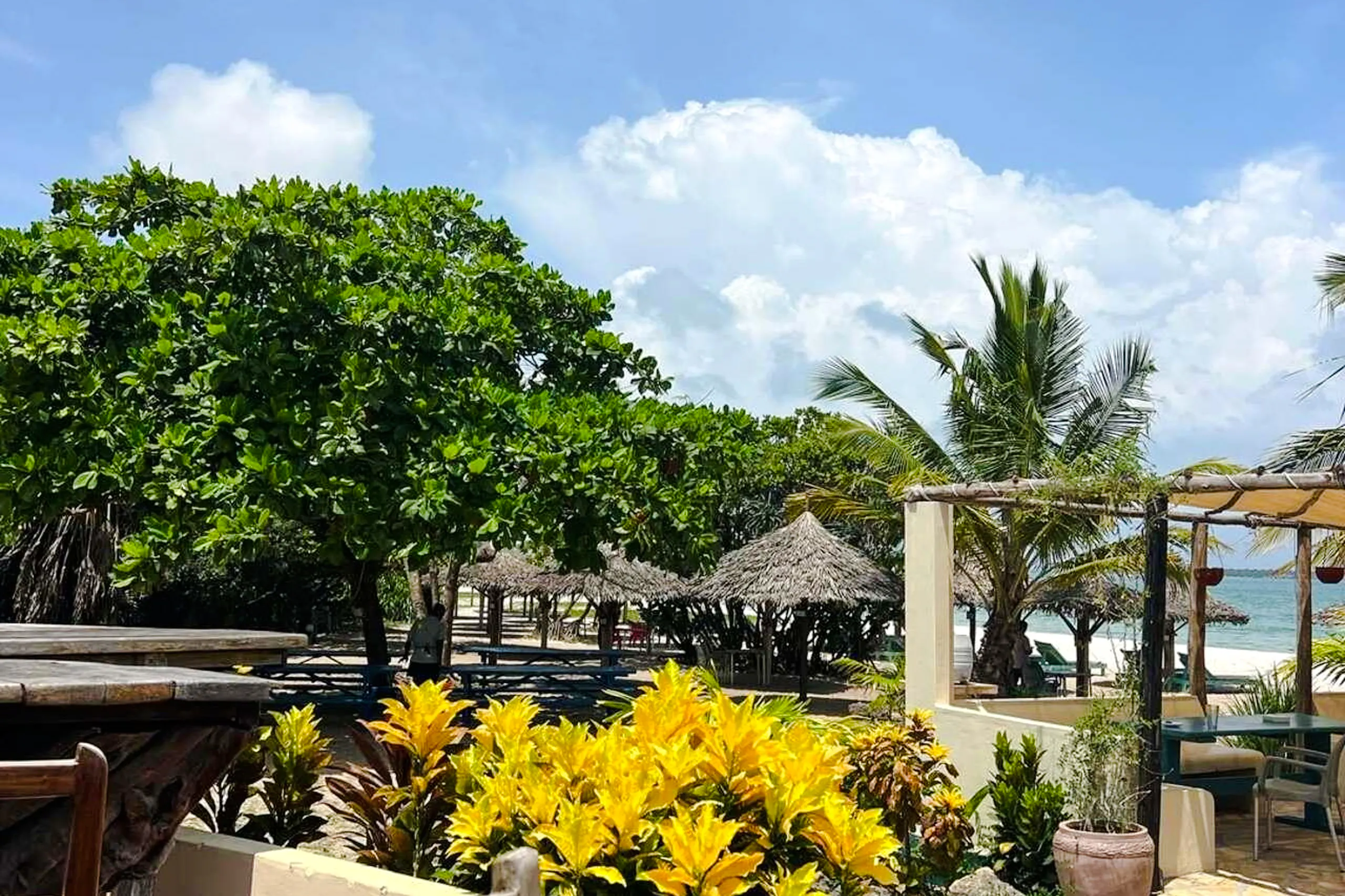 Beachfront resort with palm trees and thatched huts in Dar es Salaam, Zanzibar.