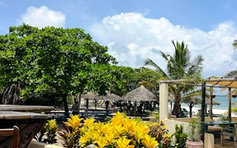 Beachfront resort with palm trees and thatched huts in Dar es Salaam, Zanzibar.