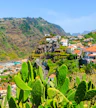 Câmara de Lobos Kuzey