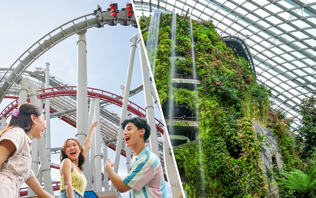 Cloud Forest at Gardens by the Bay, Singapore, with lush plants and unique architecture.