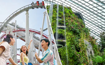 Cloud Forest at Gardens by the Bay, Singapore, with lush plants and unique architecture.