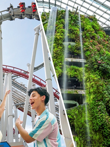 Cloud Forest at Gardens by the Bay, Singapore, with lush plants and unique architecture.