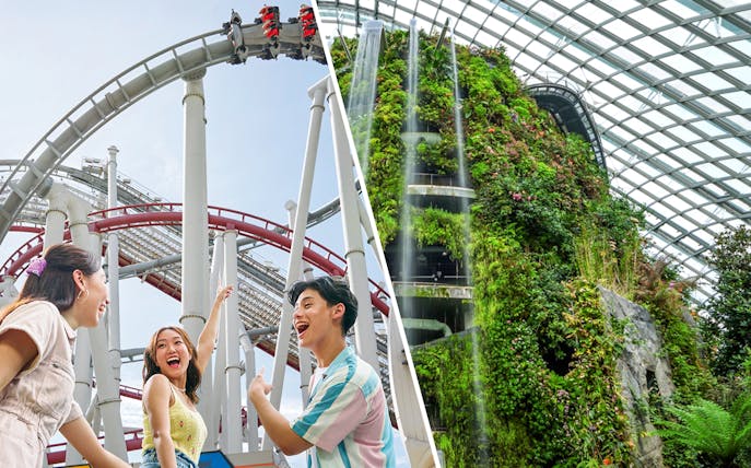 Cloud Forest at Gardens by the Bay, Singapore, with lush plants and unique architecture.