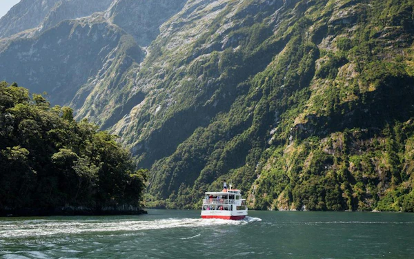 From Queenstown: Small-Group Tour with Longest Milford Sound Cruise and Picnic Lunch