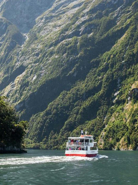 Cruise boat navigating Milford Sound fjord with lush green cliffs, New Zealand.