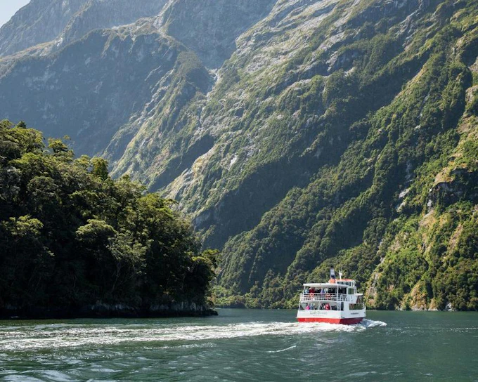 From Queenstown: Small-Group Tour with Longest Milford Sound Cruise and Picnic Lunch (Product 55220)