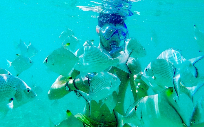Man snorkeling among fish in clear waters, Gold Coast.