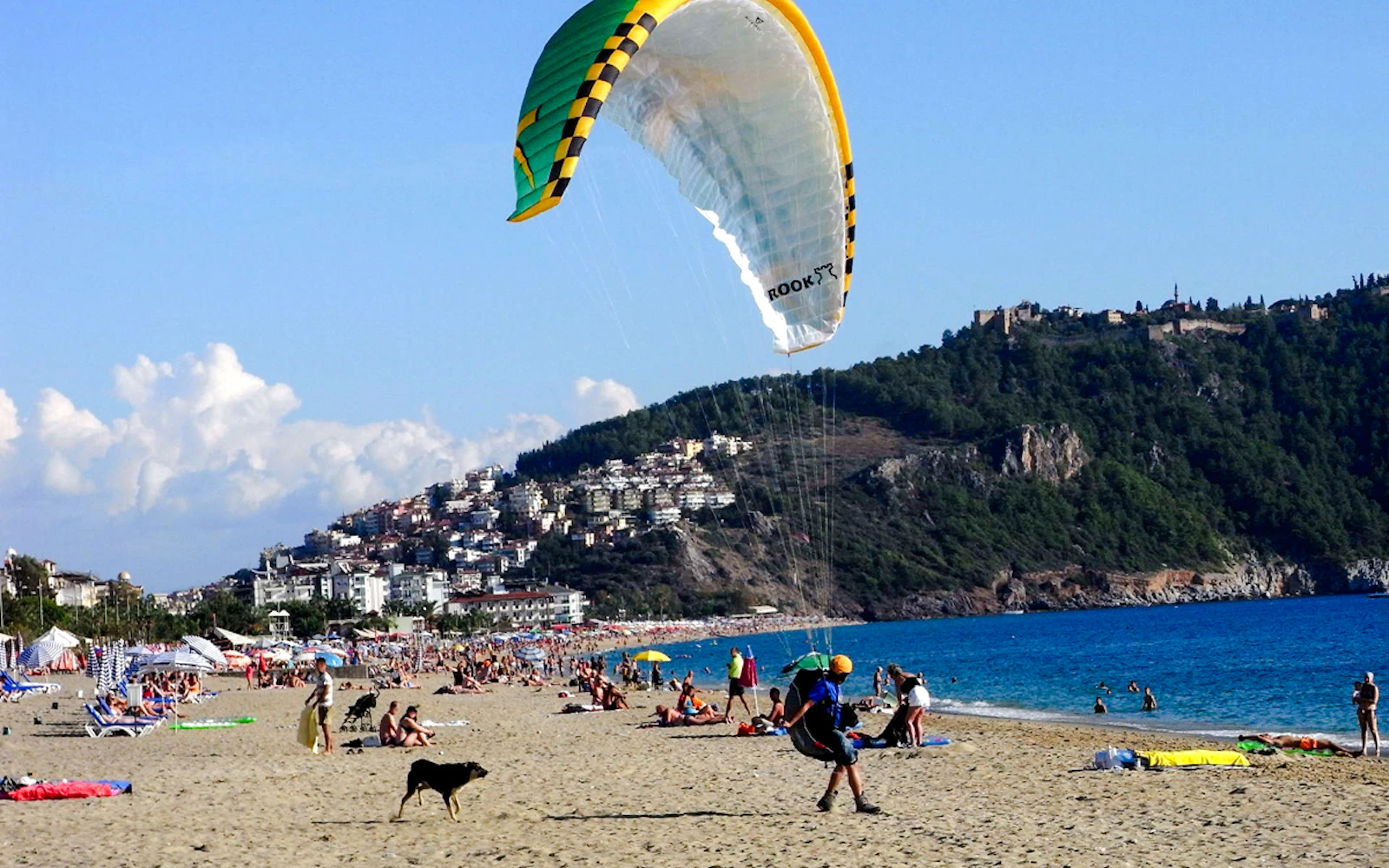 From Antalya: Alanya Paragliding Experience with Cleopatra Beach Landing Image 6